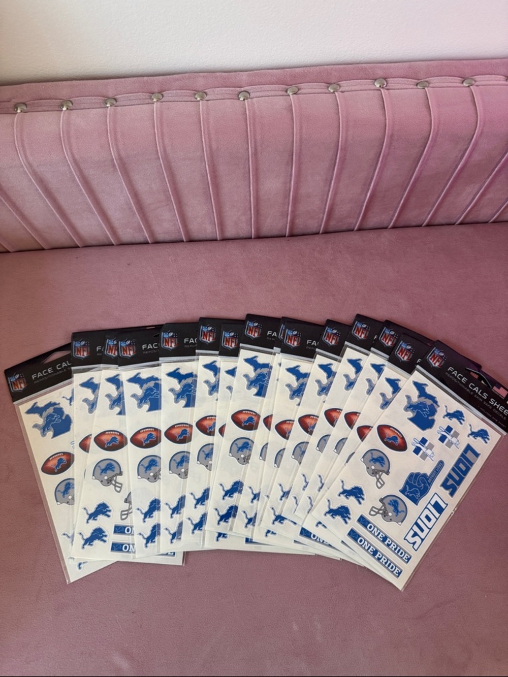 Detroit Lions Decal Sheet Pack - Blue and White Team Stickers. 15 total . NWT
